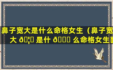 鼻子宽大是什么命格女生（鼻子宽大 🦟 是什 🐘 么命格女生面相）